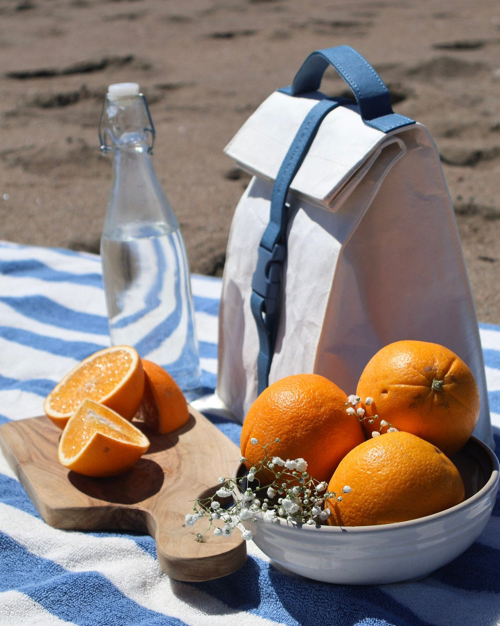Paper Sack Lunch Cooler