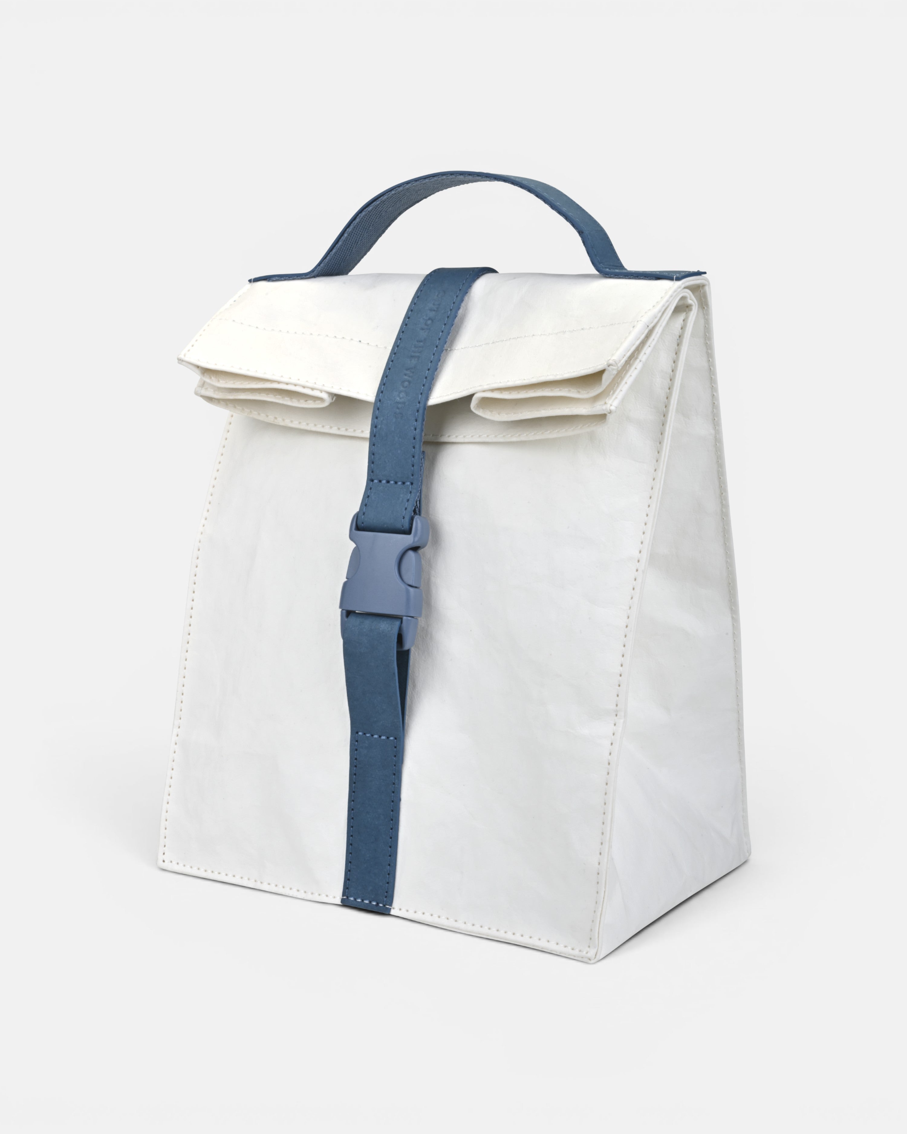 Paper Sack Lunch Cooler